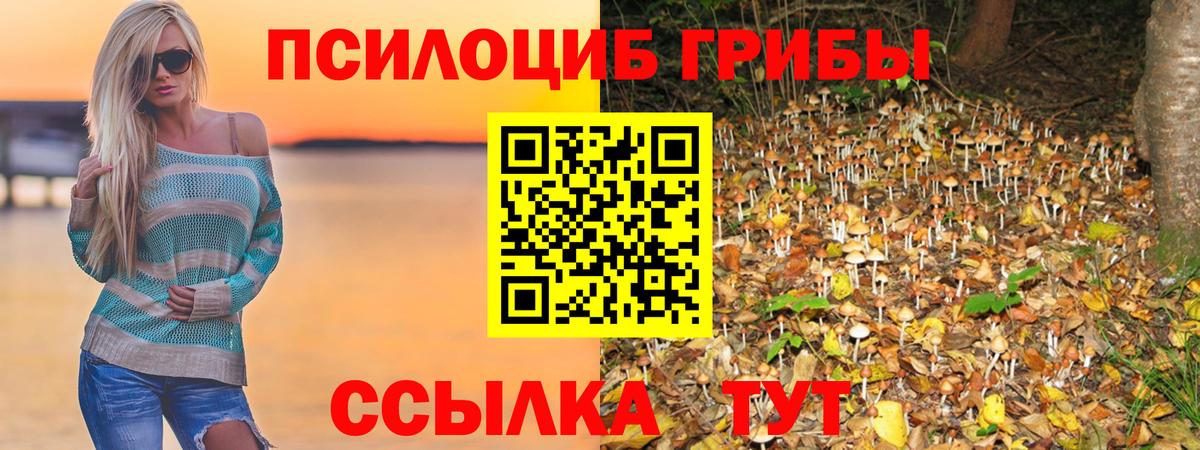 Муравленко  Псилоцибиновые грибы Magic Shrooms  Вход с VPN  Галлюциногенные грибы MAGIC MUSHROOMS 