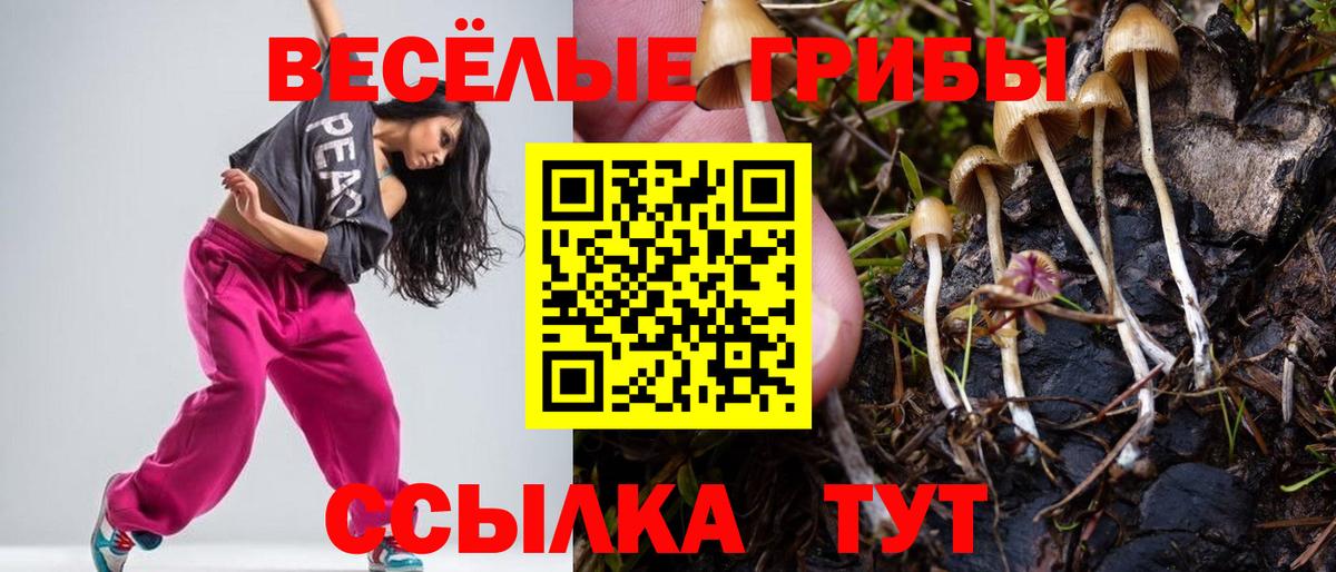 Псилоцибиновые грибы ЛСД Муравленко